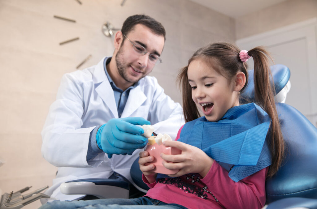 Dentist shows girl teeth model.